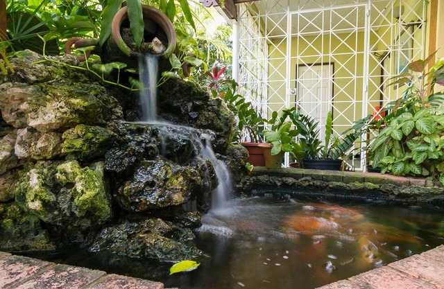 Garden of Bliss#2, RedHill Fishpond, Kingston