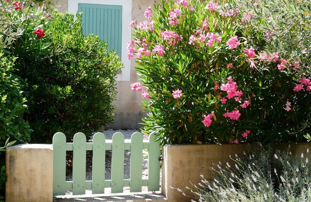 Jardines Fontanille Mazet árboles de olivo 33 viven en el corazón de la Provenza
