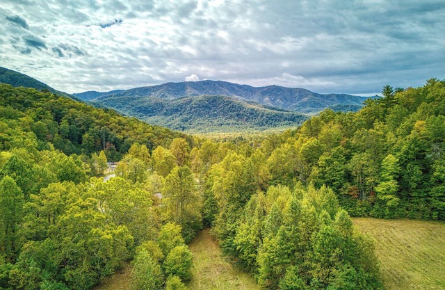 Getaway Cottage, Pickleball Court, Creek, WIFI, Mountain Views, No Cleaning Fee