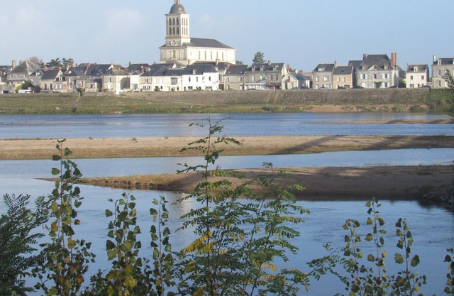 GITE 2/4 pers nueve entre Angers y Saumur a orillas del tranquilo Loira