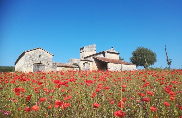 Casa rural en casa de campo de carácter