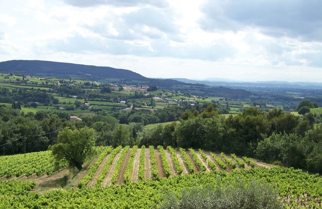 Casa rural en la Provenza en el corazón de los viñedos