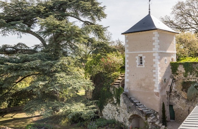 Alojamiento "Le Colombier", entre viñedos y el Loira