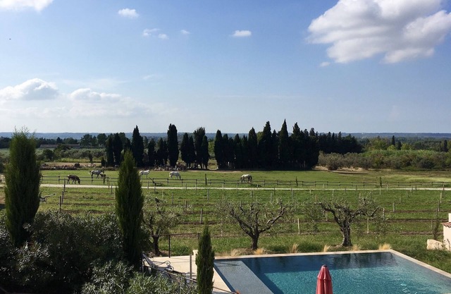 Gîte Mas de Cayol, en el corazón de los Alpilles clasificados ***. Piscina, bicicleta AQUABIKE
