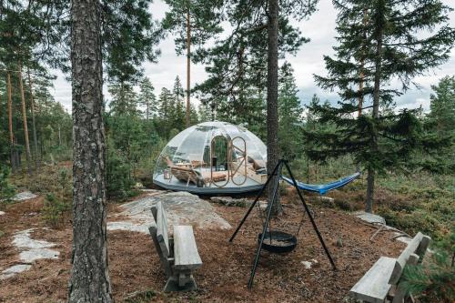 Glass Igloo With Nordic Design In Nature