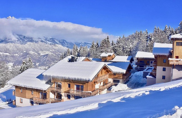 Goélia Les Chalets des Pistes