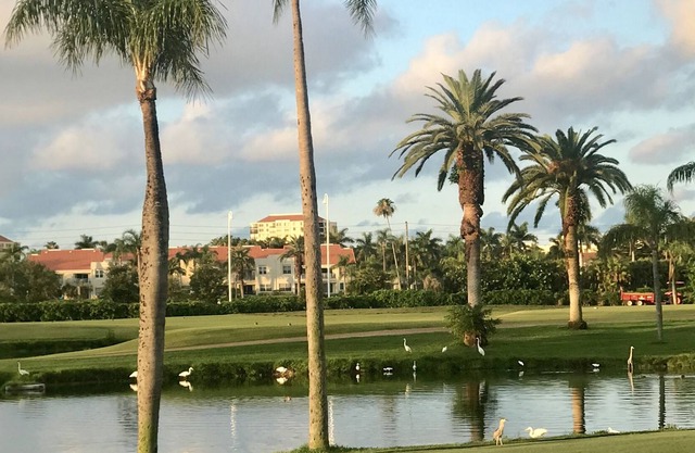 VISTA DEL CAMPO DE GOLF! A minutos de las playas, un fabuloso y moderno centro de la ciudad.