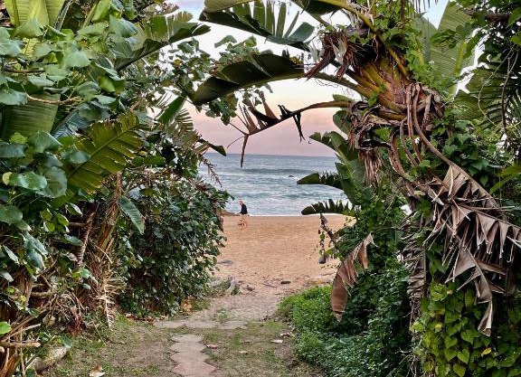 Gracelands Beach Lodge