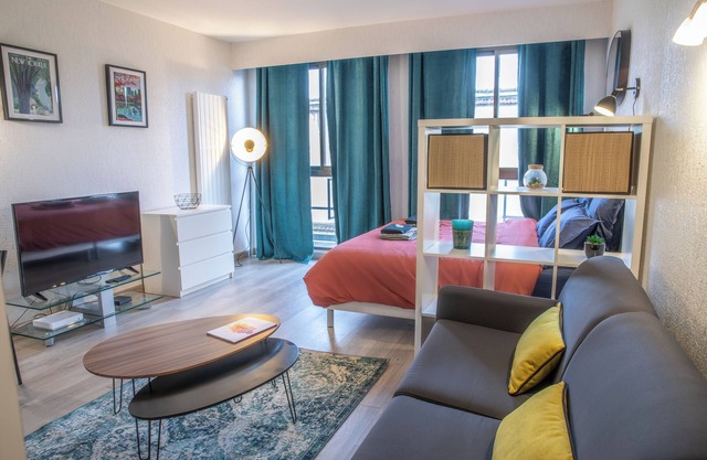 Grand Studio Stan Nancy - quiet, cosy, bright
