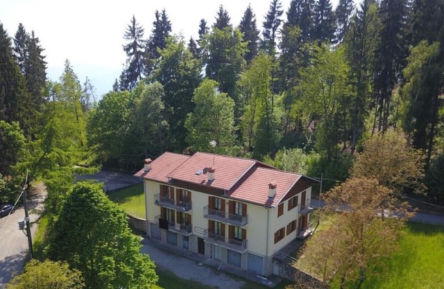Green house, the holiday home in the woods