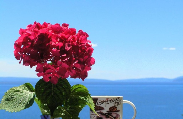 Guest House Lifestyle Holiday