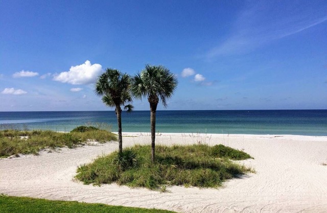 Gulf Coast Luxury – Large Beachfront Living: La Playa #203D Condo by RVA