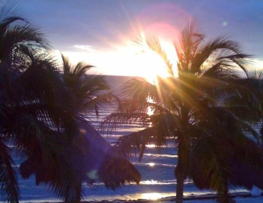 Hacienda del Mar Resort Condominio 205