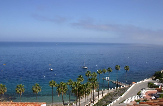 HamCove (GolfCart, WIFI, BBQ) !!!! U necesita A / C! Piscina, jacuzzi, gimnasio, OceanVeryClose!