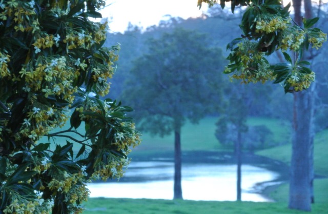 Hampshire Farmhouse - beautifully appointed home in WA's Southern Forests
