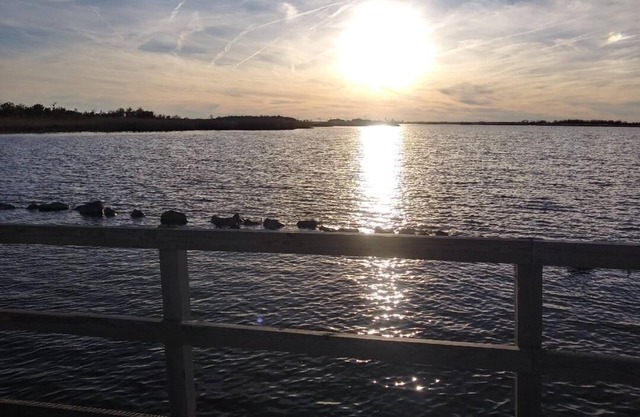 Happy Place: sunset view of Back Bay from the sofa and deck- 5 min walk to Beach