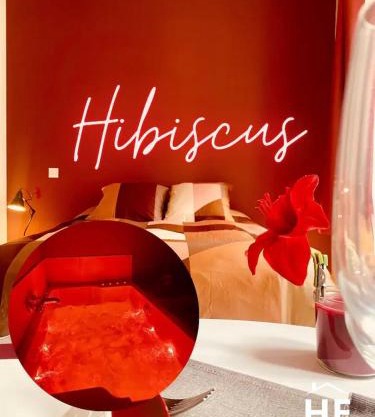 Hibiscus - Balnéo - Netflix & Chill