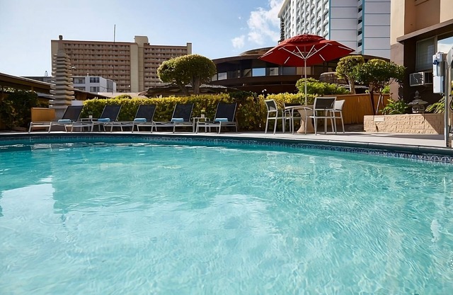 High Floor City View Two Queens, 3 Relaxing Units, Rooftop Garden Escape