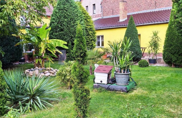 Apartamento de vacaciones Herzberg para 1 - 2 personas con 1 dormitorio - Apartamento