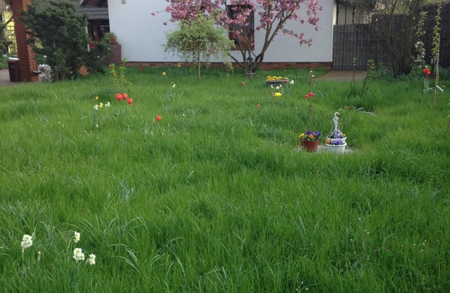 Casa de vacaciones en Vorspreewald con su propia apicultura 6 camas