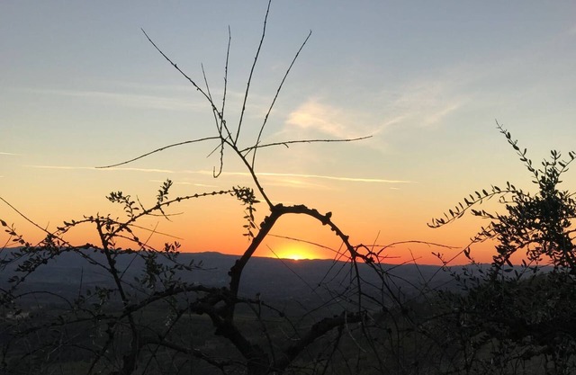 Vacaciones En El Corazón De Chianti