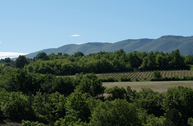 Vacaciones en Caseneuve en un viñedo