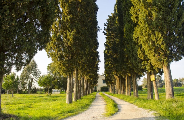 ¡Apartamento en el campo verde con piscina, a solo 4 km del mar!
