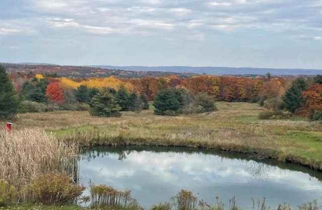 Home of the NASCAR Cup Series! Unwind at a one-of-a-kind countryside retreat.