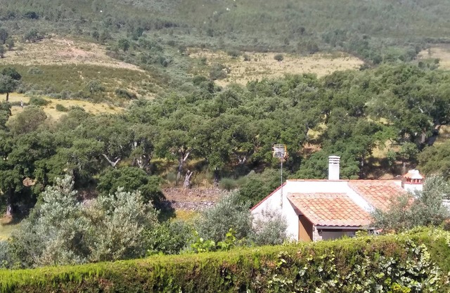 Homerez - Estudio en Valencia de Alcántara