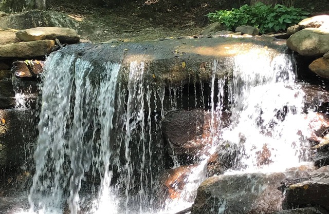 Vista a la cascada, bañera de hidromasaje, Se aceptan mascotas, 4 huéspedes - Cabaña Brett's Falling Waters