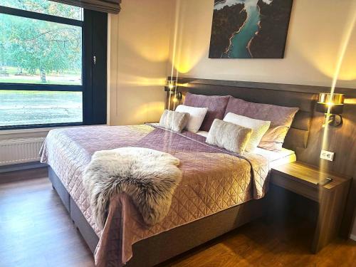 Hotel Boreas