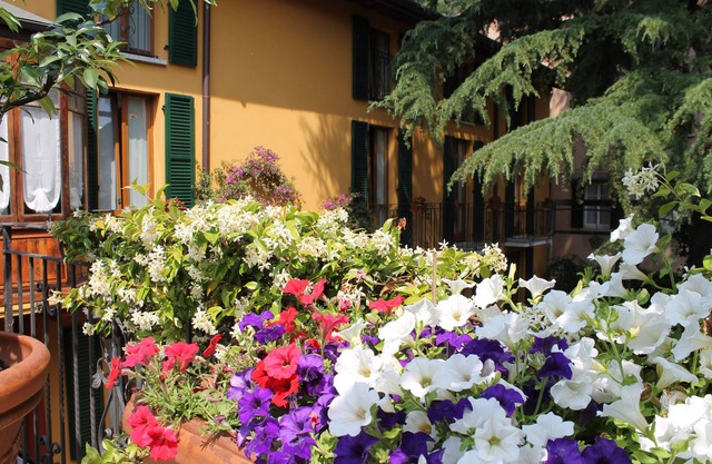 Hotel Centrale