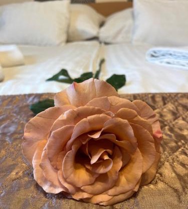 Hotel Rose City