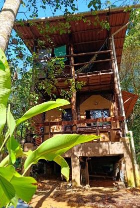 House in the Trees