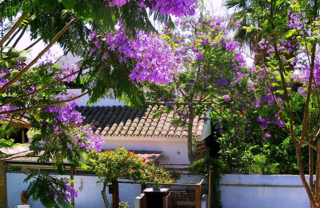 Casa en Roche (Conil) con jardín, BBQ y wifi gratis a 10 min andando de la playa