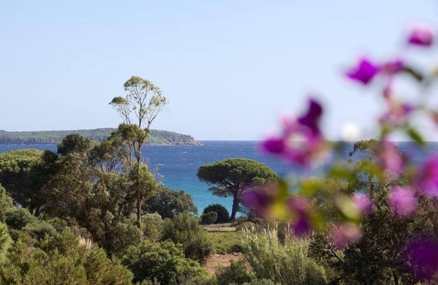 Casa / villa / chalet - Porto Vecchio