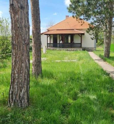 House with big garden