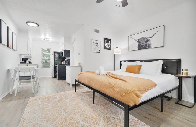 Hyde Park Gem–Modern Studio Near UT & Downtown