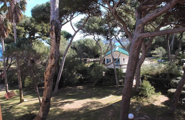HYERES - Frente a la playa - Playa Badine - Residencia Pierre & Vacances
