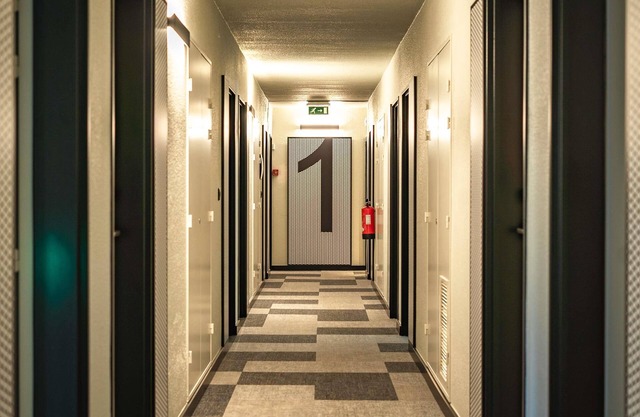 Ibis Guimaraes