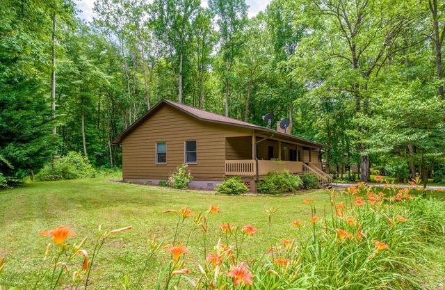 Ideal Wooded Gem W/ Large Deck, Gas Grill, Free WiFi, Firepit & Creek