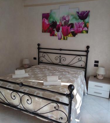 Il Tulipano