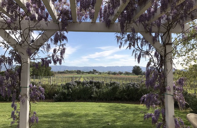 ¡En el corazón de Los Olivos, país de vinos de lujo, en nuestro viñedo!