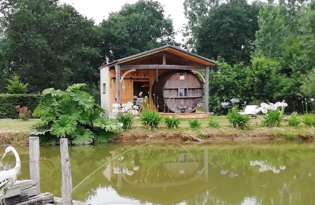 INSOLITE Un barril en un entorno verde.