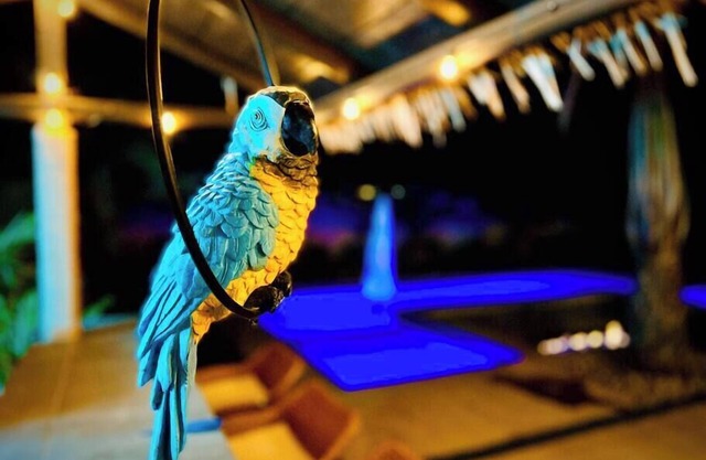 Island Breeze - Hawaiian experience in the desert!