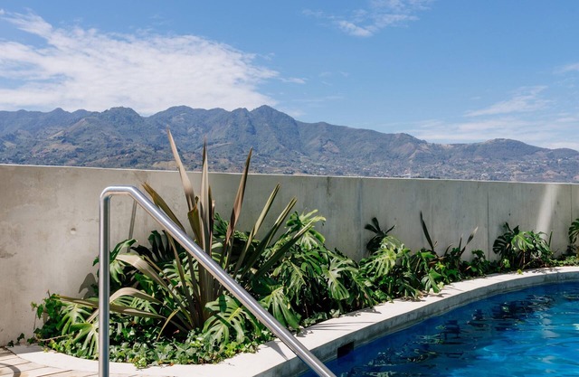 Jungle at 24, City Views and Wonderland Vibes!