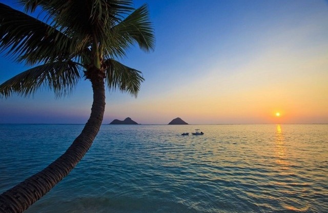 Kailua Beach Cottage