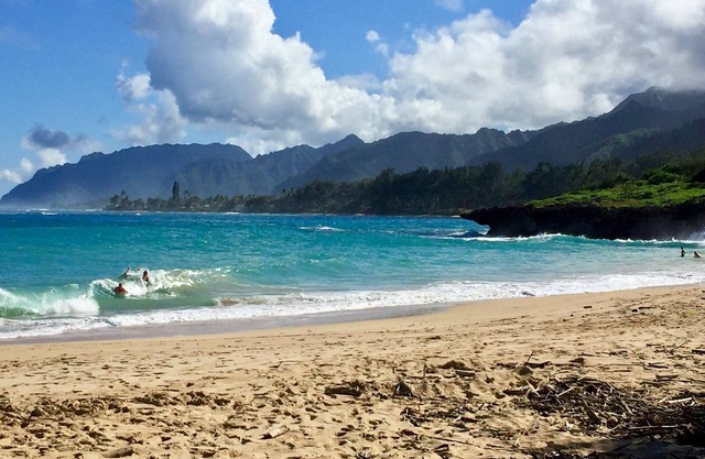 Kama'aina Haven: Beachside Estate w/ Private Pool. Sleeps up to 12 Guests!