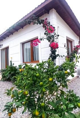 Kavurlukoz Butik Apart