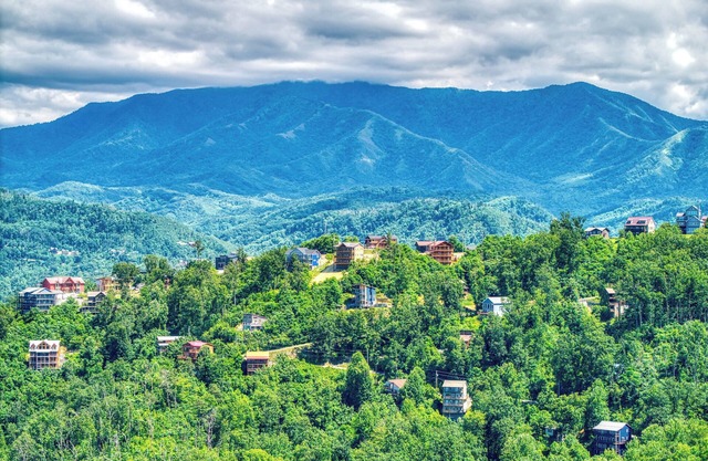 Key Lime Pie, Hot Tub, WIFI, $1089 FREE tickets each paid day, Dollywood and Mor